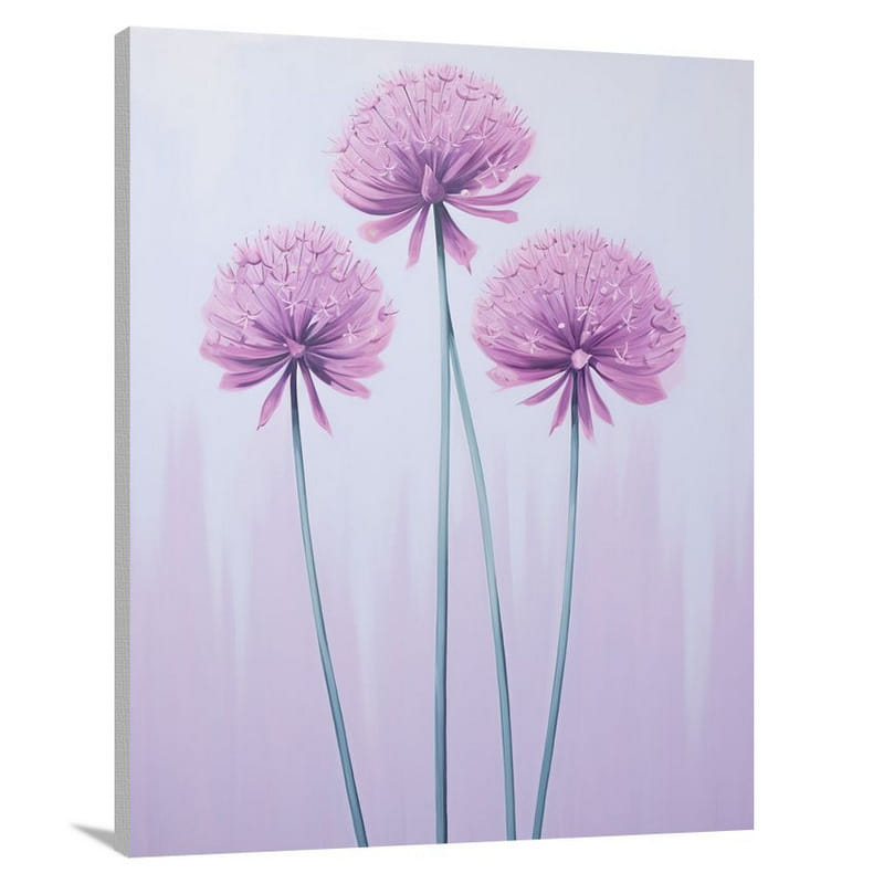 Allium Blooms: A Resilient Minimalism - Canvas Print
