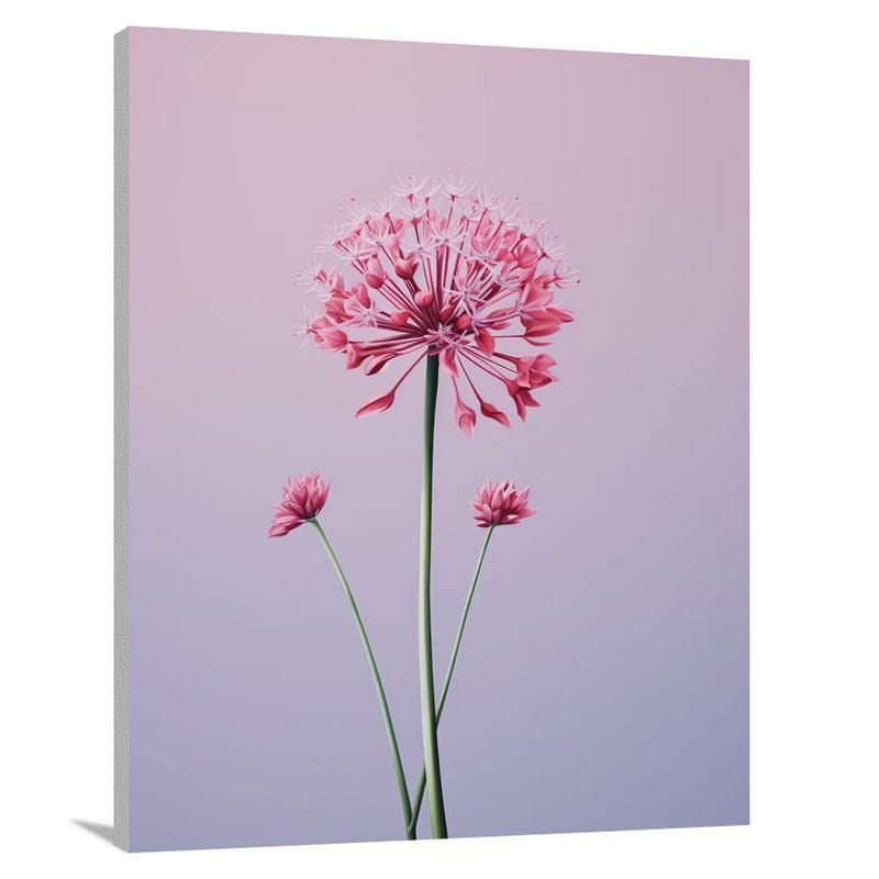 Allium Blooms: Resilience in Minimalism - Canvas Print
