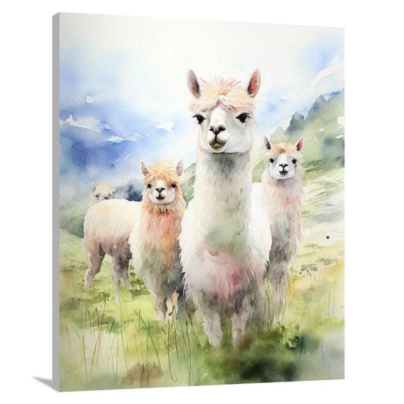 Alpaca Serenity - Canvas Print
