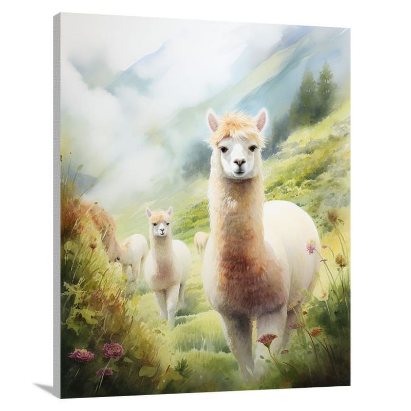 Alpaca Serenity - Watercolor - Canvas Print