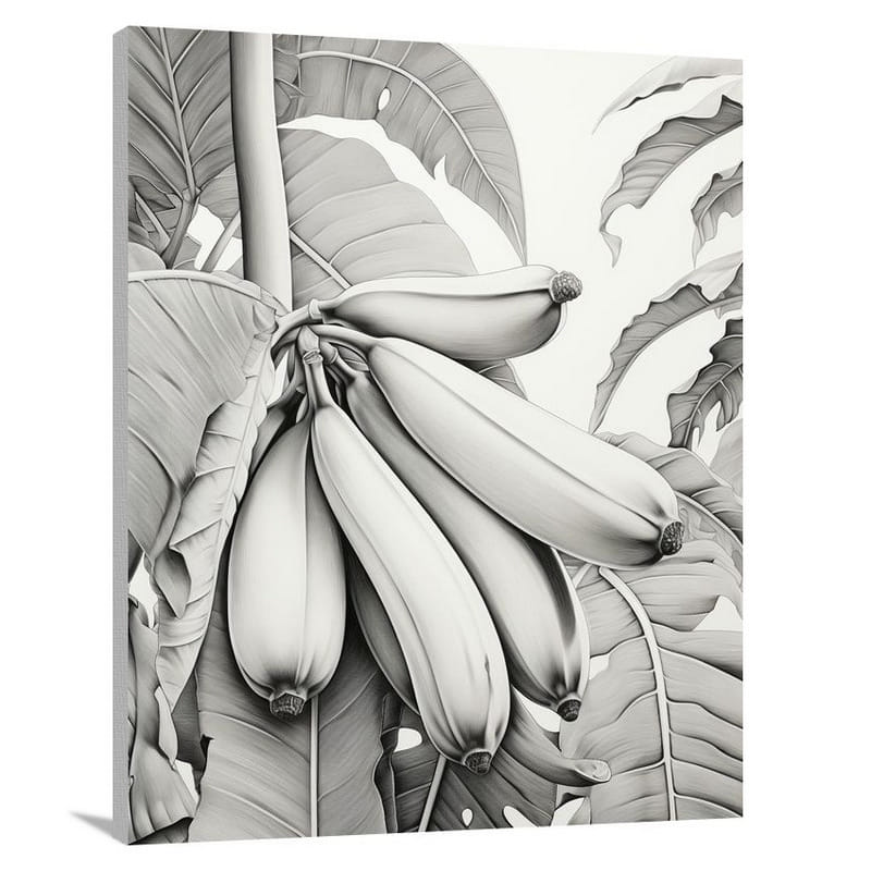 Banana Harmony - Black And White - Canvas Print