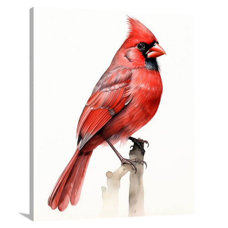 Cardinal's Gaze - Watercolor - Canvas Print