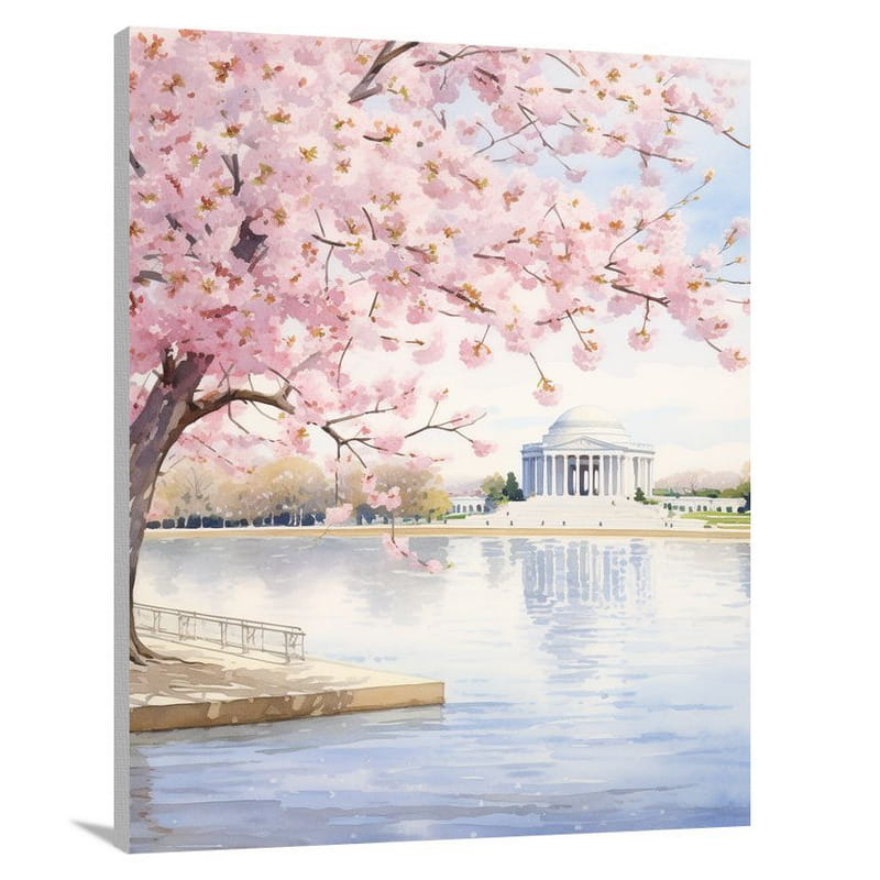 Cherry Blossom Serenity in Washington DC - Canvas Print