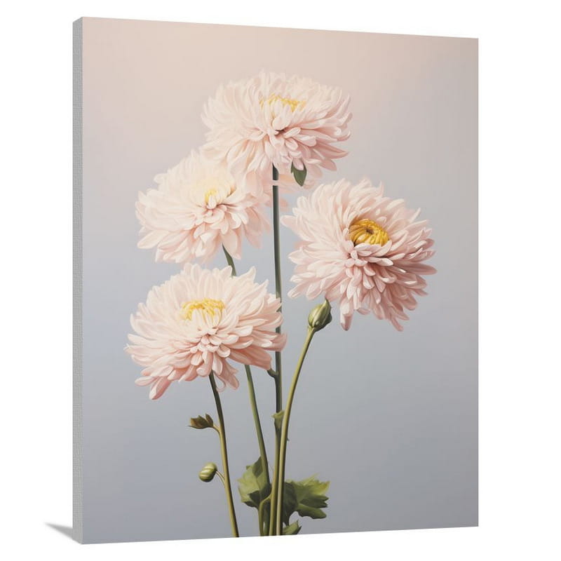 Chrysanthemum Elegance - Minimalist - Canvas Print