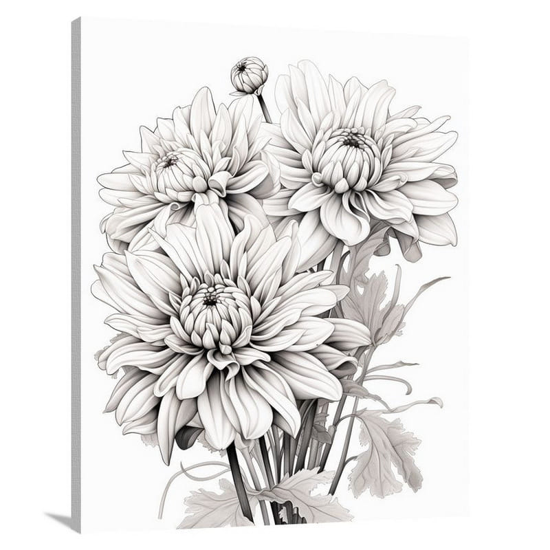 Chrysanthemum Whispers - Black And White - Canvas Print