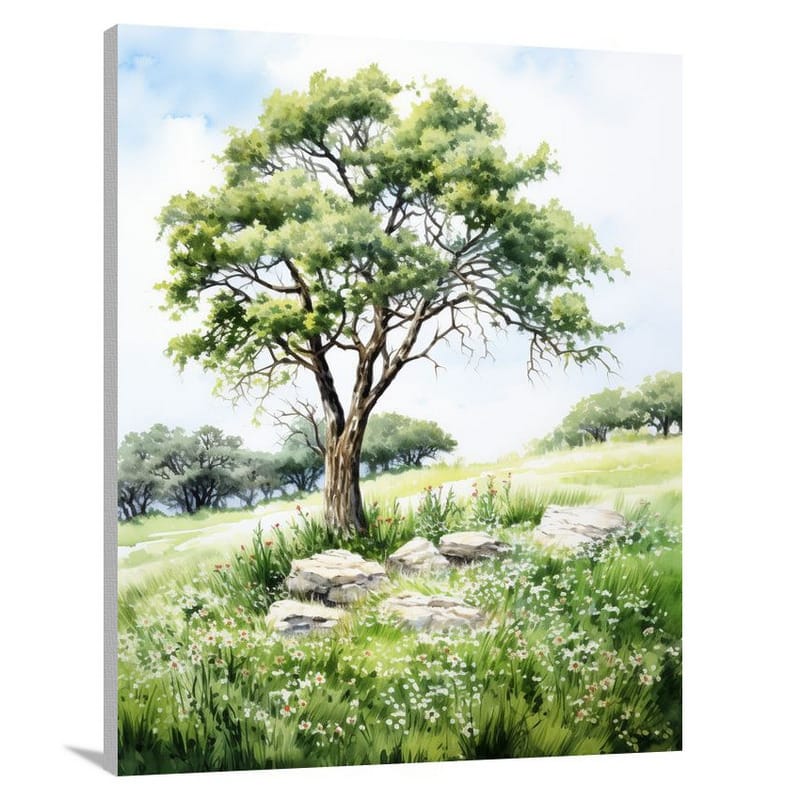 Cypress Serenity - Canvas Print