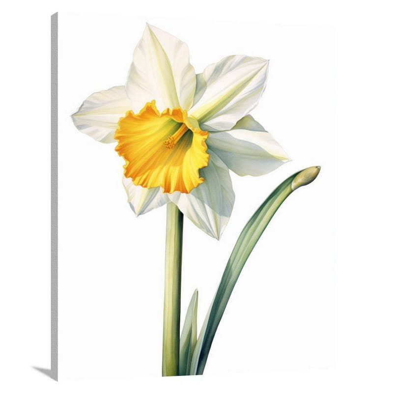 Daffodil's Resilience - Watercolor - Canvas Print