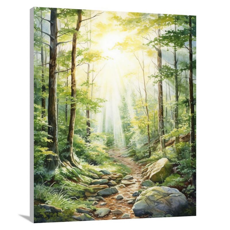 Enchanting Tennessee Forest: Sunbeams Dance - Canvas Print