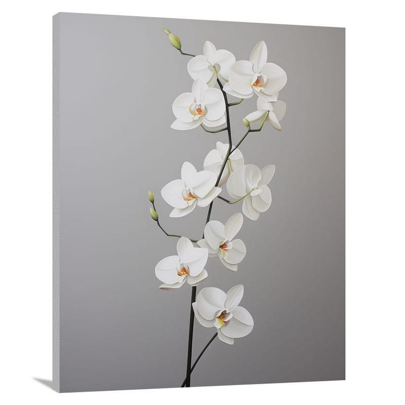 Ethereal Orchid Blooms - Canvas Print