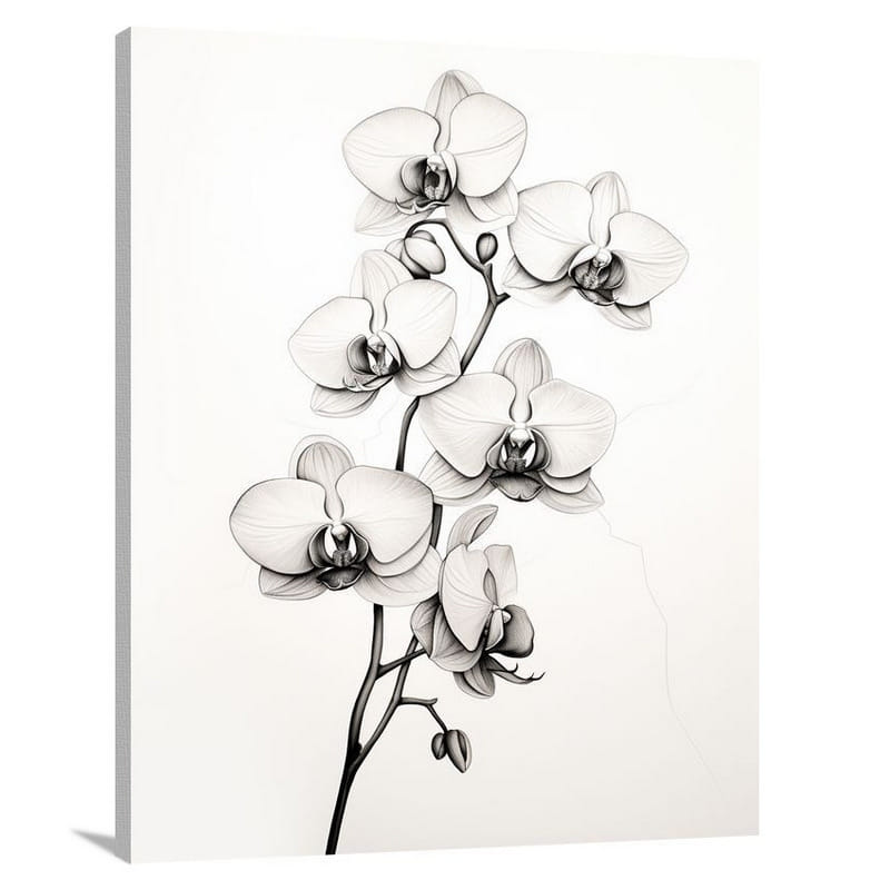 Ethereal Orchid - Canvas Print