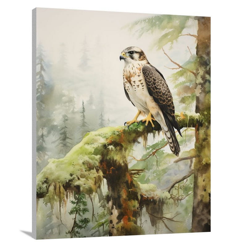 Falcon's Serenity - Canvas Print