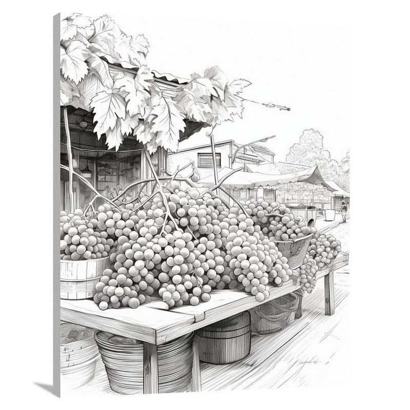 Grape Harvest - Black And White 2 - Canvas Print