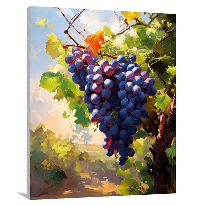Grape Harvest - Canvas Print