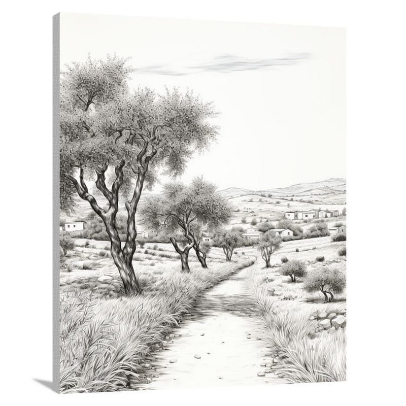 Greece's Olive Path - Canvas Print