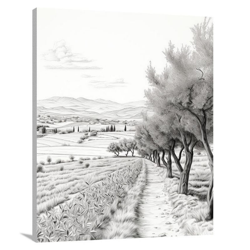 Greece's Olive Symphony - Canvas Print