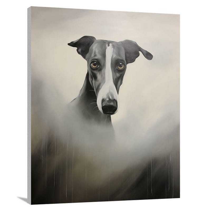 Greyhound's Gaze - Canvas Print