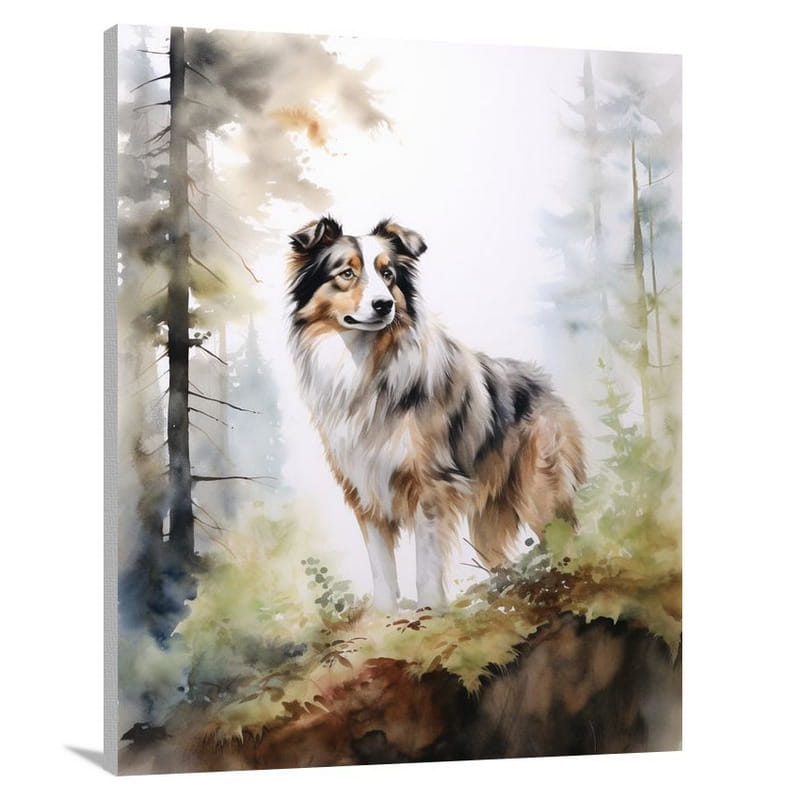 Guardian of the Woods: Australian Shepherd - Canvas Print