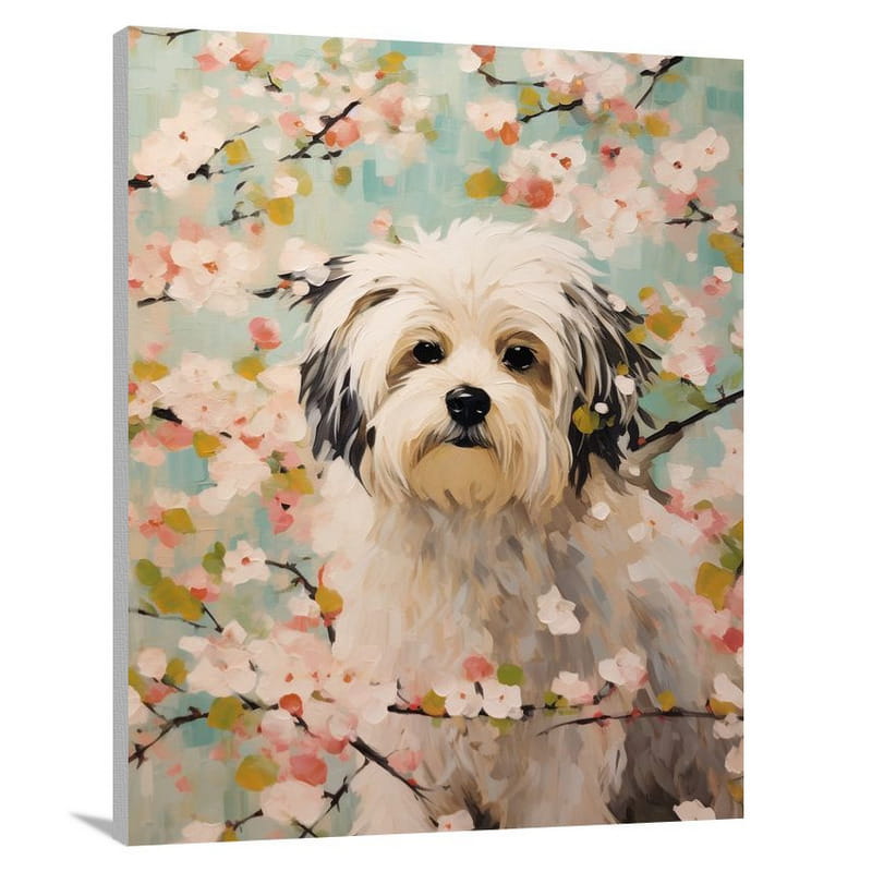 Havanese Haven - Canvas Print