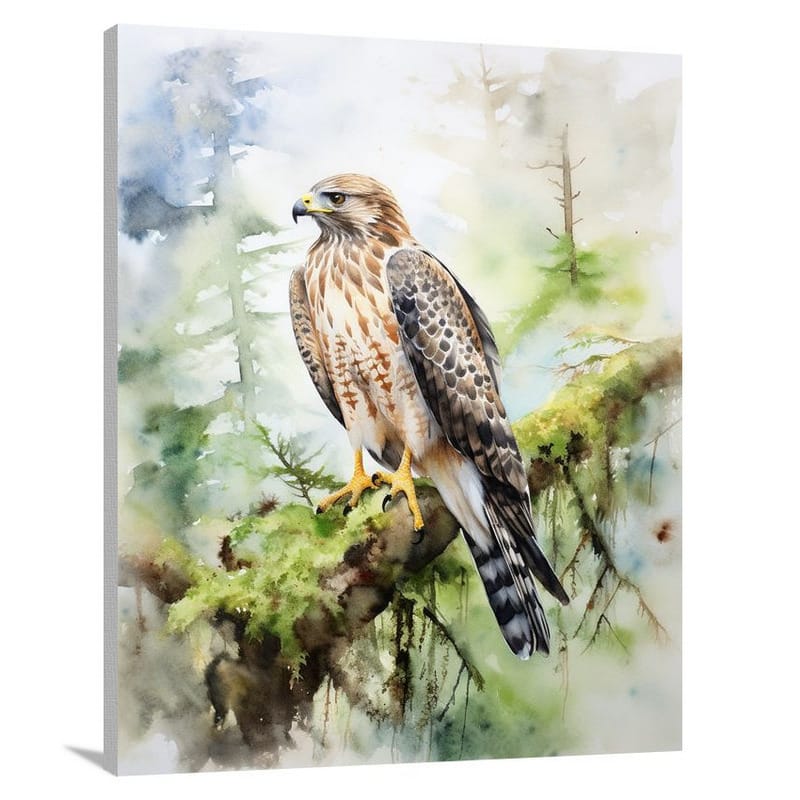 Hawk's Melody - Canvas Print