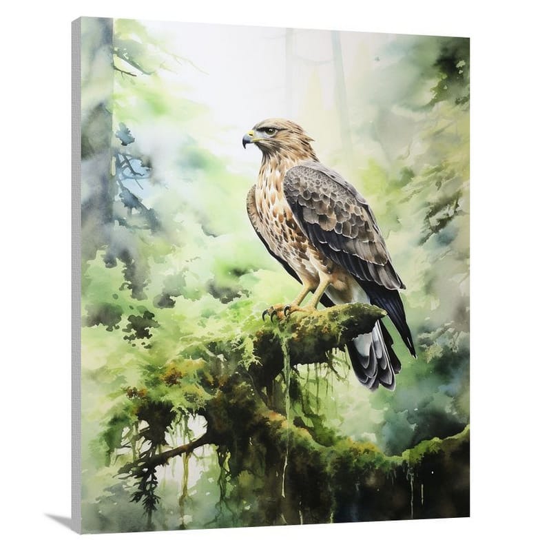 Hawk's Melody - Watercolor - Canvas Print