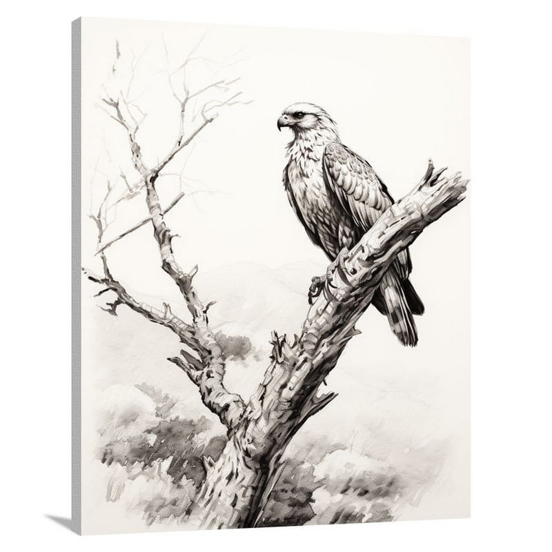 Hawk's Watchful Gaze - Canvas Print