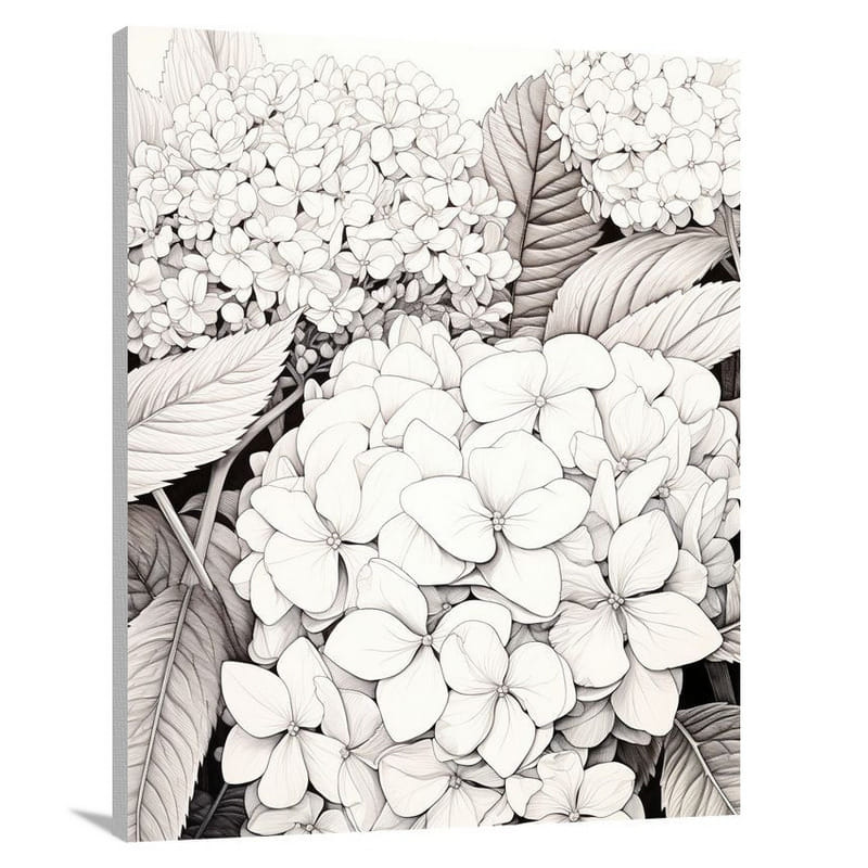 Hydrangea Harmony - Black And White - Canvas Print