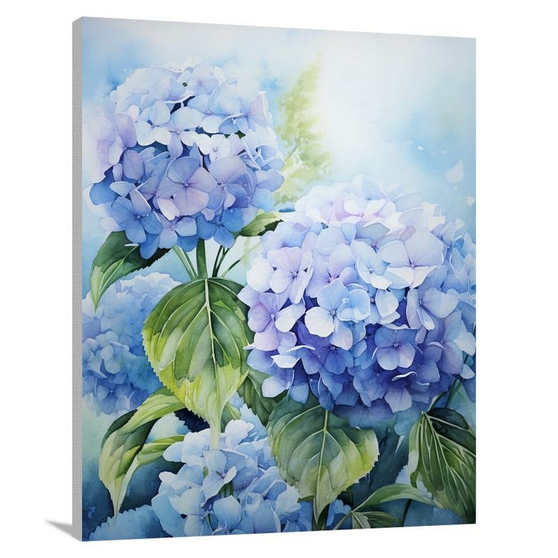 Hydrangea Symphony - Watercolor 2 - Canvas Print