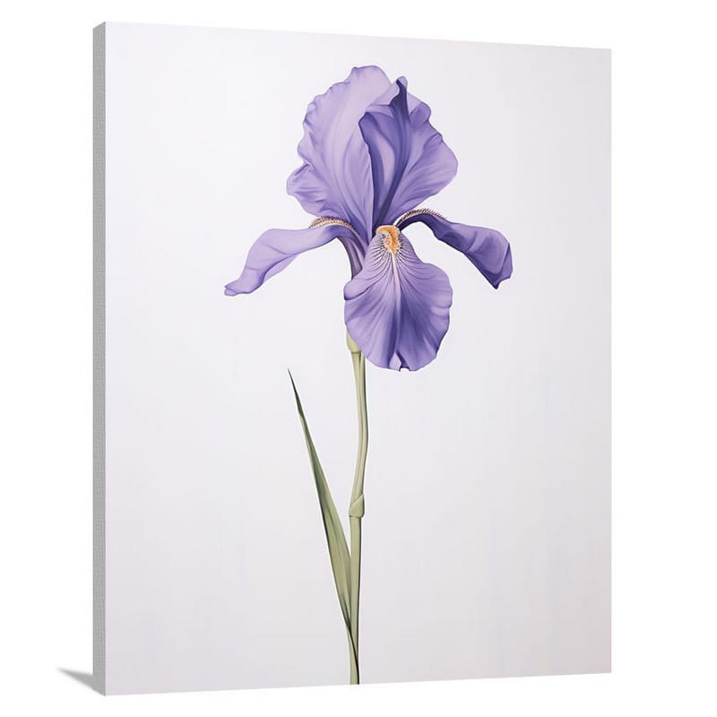 Iris Blooms: A Symbol of Hope - Canvas Print