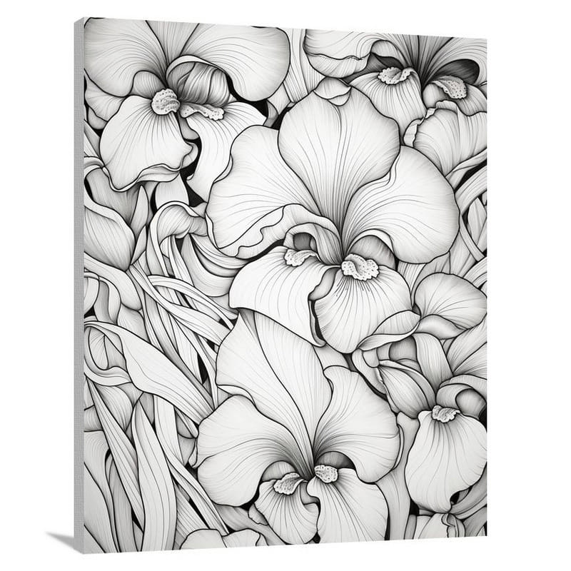 Iris Symphony - Canvas Print