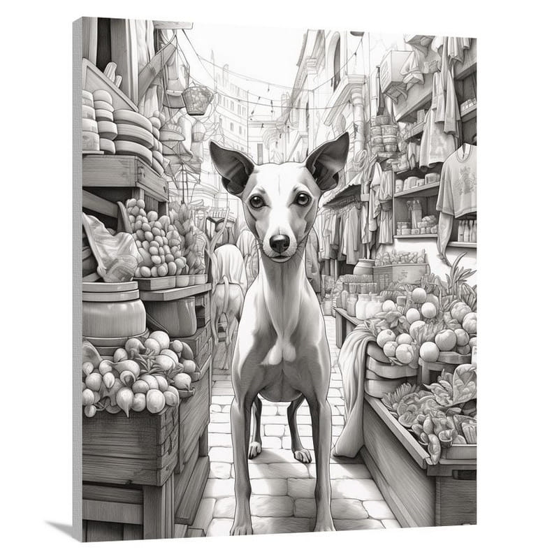 Italian Greyhound in Market - Canvas Print