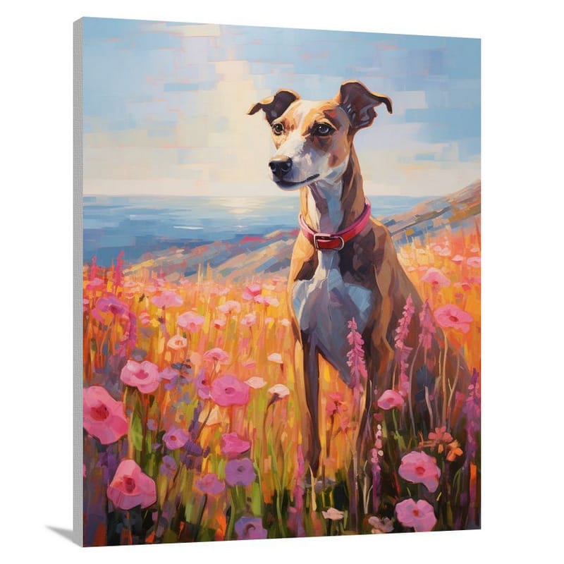 Italian Greyhound in the Meadow - Canvas Print