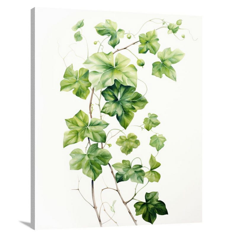 Ivy & Vine: Enchanting Embrace. - Watercolor - Canvas Print