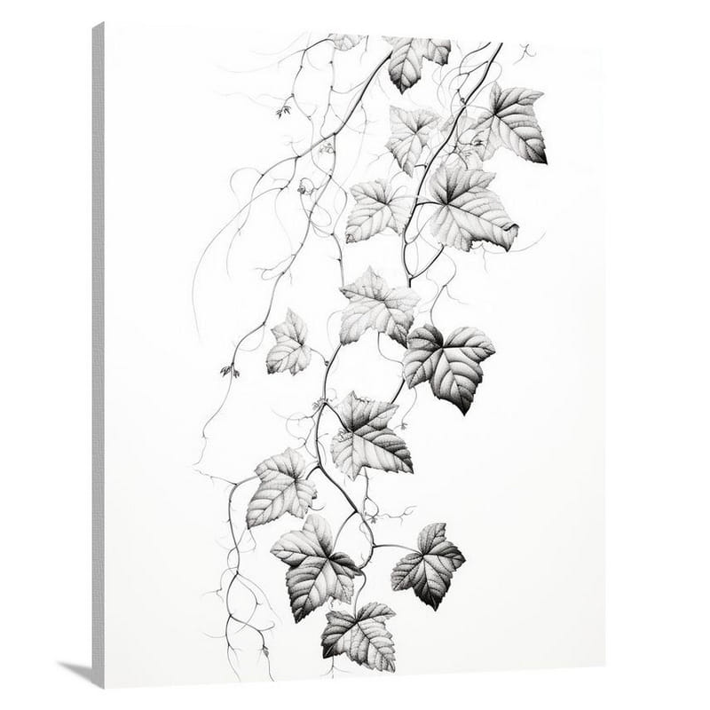 Ivy & Vine: Serene Ascension. - Black And White - Canvas Print