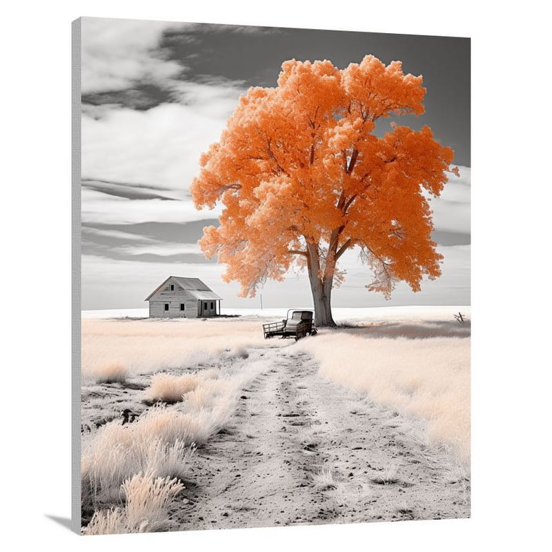 Kansas Autumn - Canvas Print