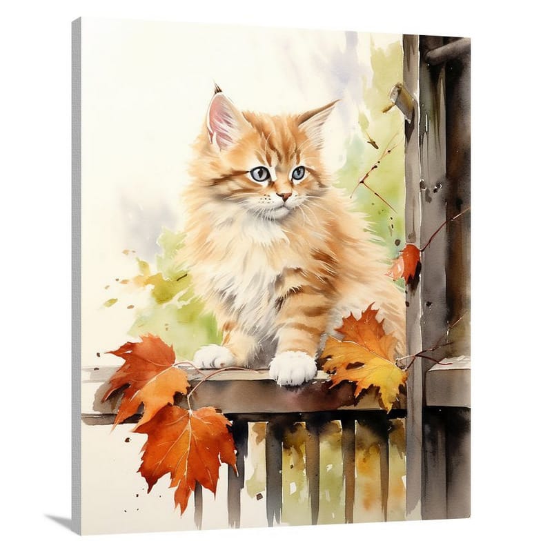 Kitten's Gaze - Canvas Print