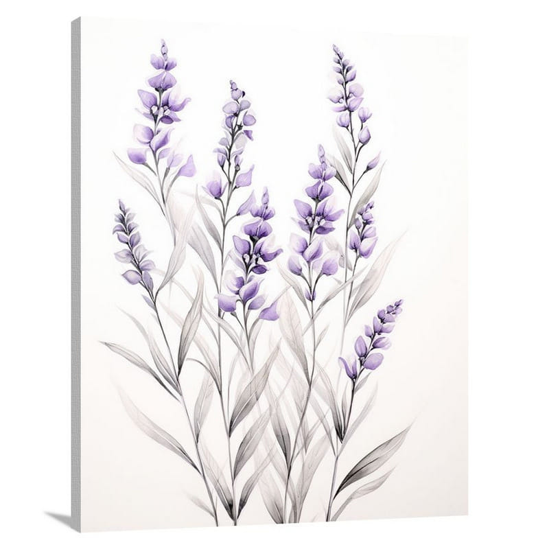Lavender Dreams - Black And White - Canvas Print