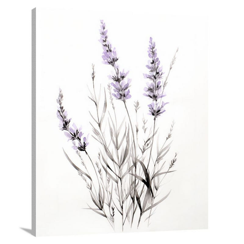Lavender Serenity - Black And White - Canvas Print