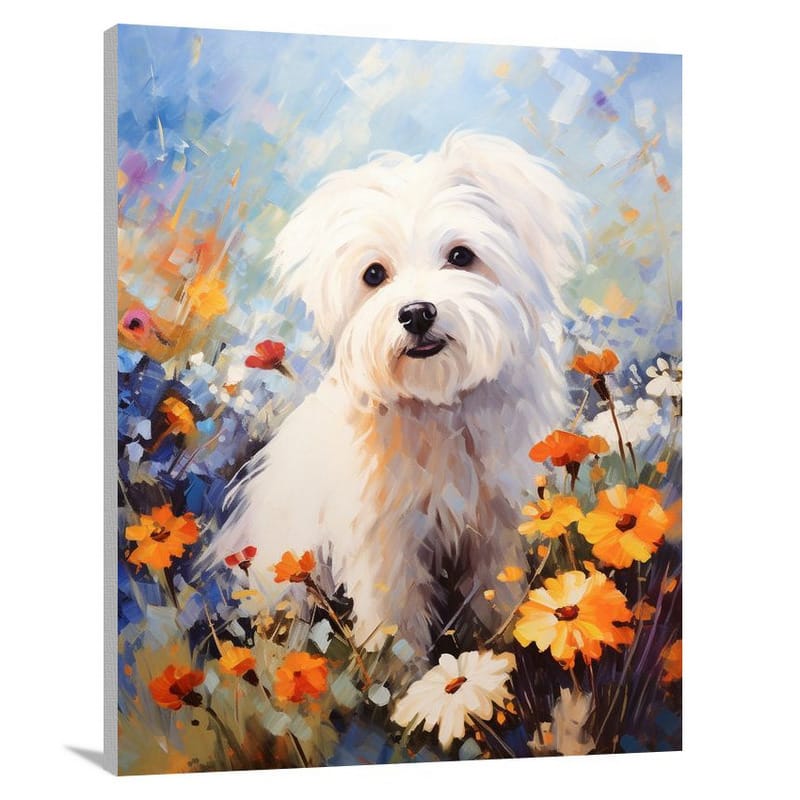 Maltese Serenity - Canvas Print