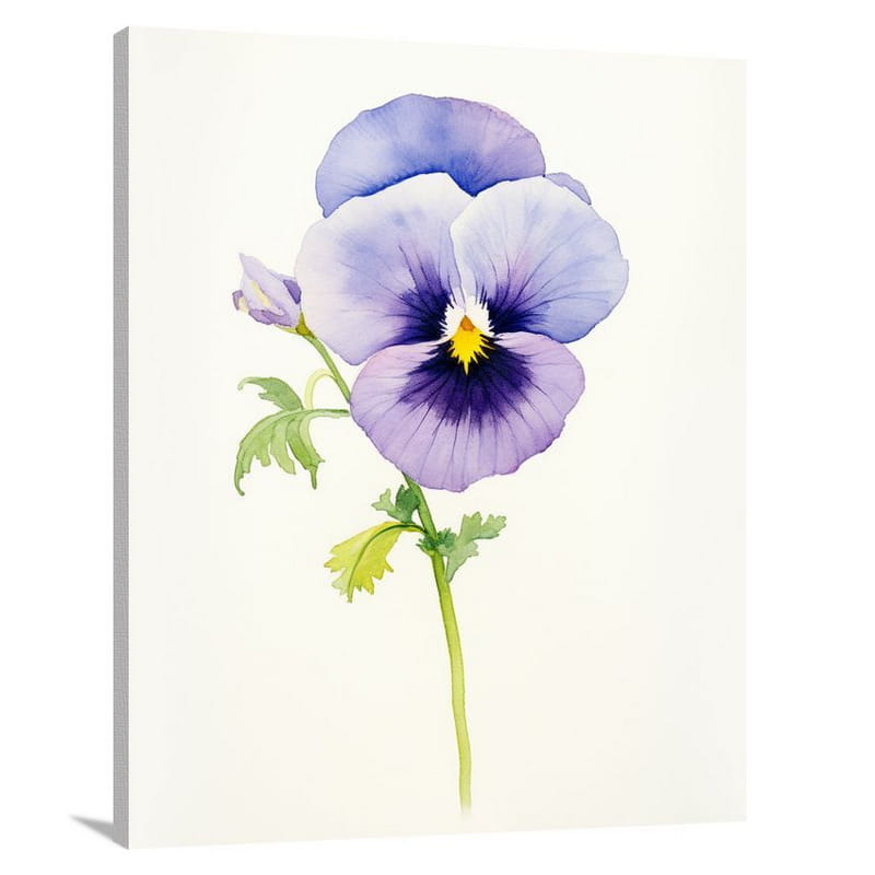 Pansy's Resilience - Watercolor 2 - Canvas Print
