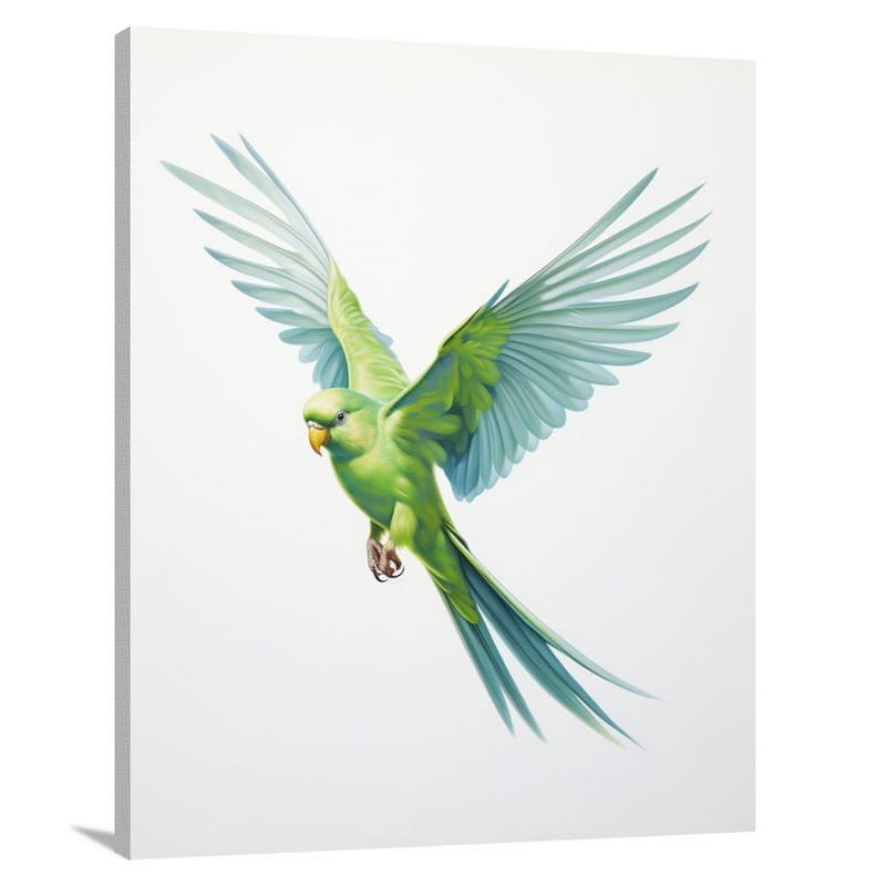 Parakeet's Flight - Canvas Print