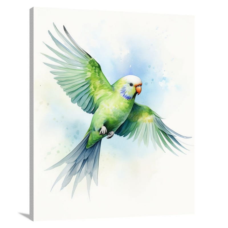 Parakeet's Flight - Watercolor - Canvas Print