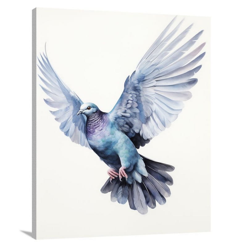 Pigeon's Gathering - Canvas Print