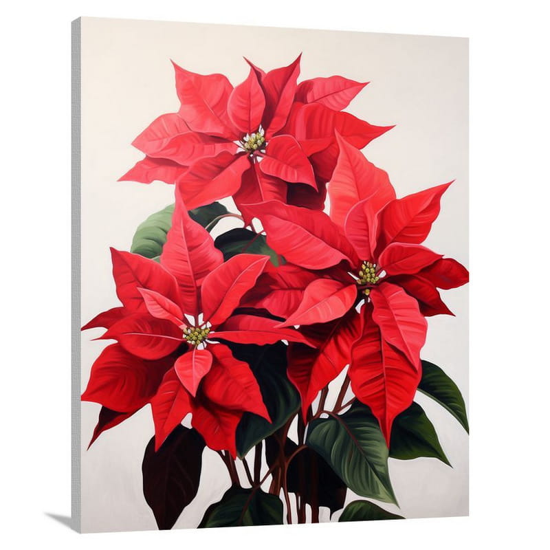 Poinsettia's Embrace - Canvas Print