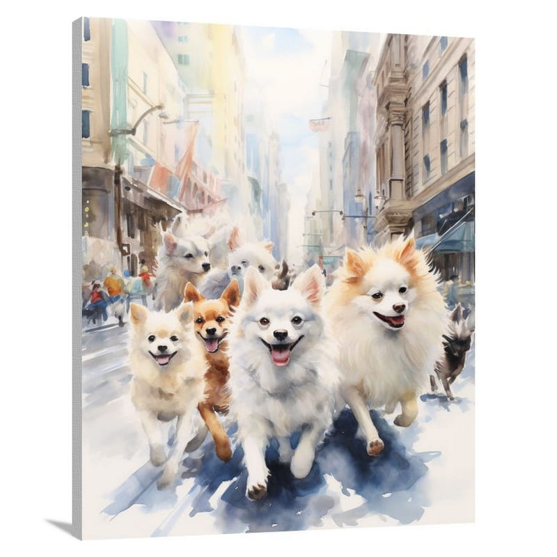 Pomeranian Parade - Canvas Print