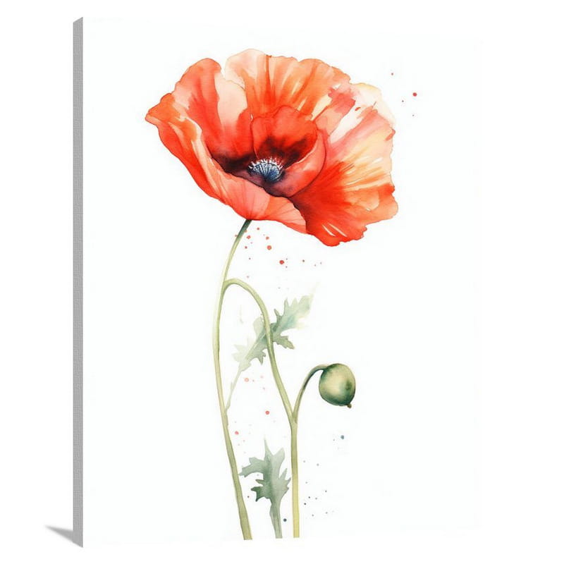 Poppy's Resilience - Canvas Print
