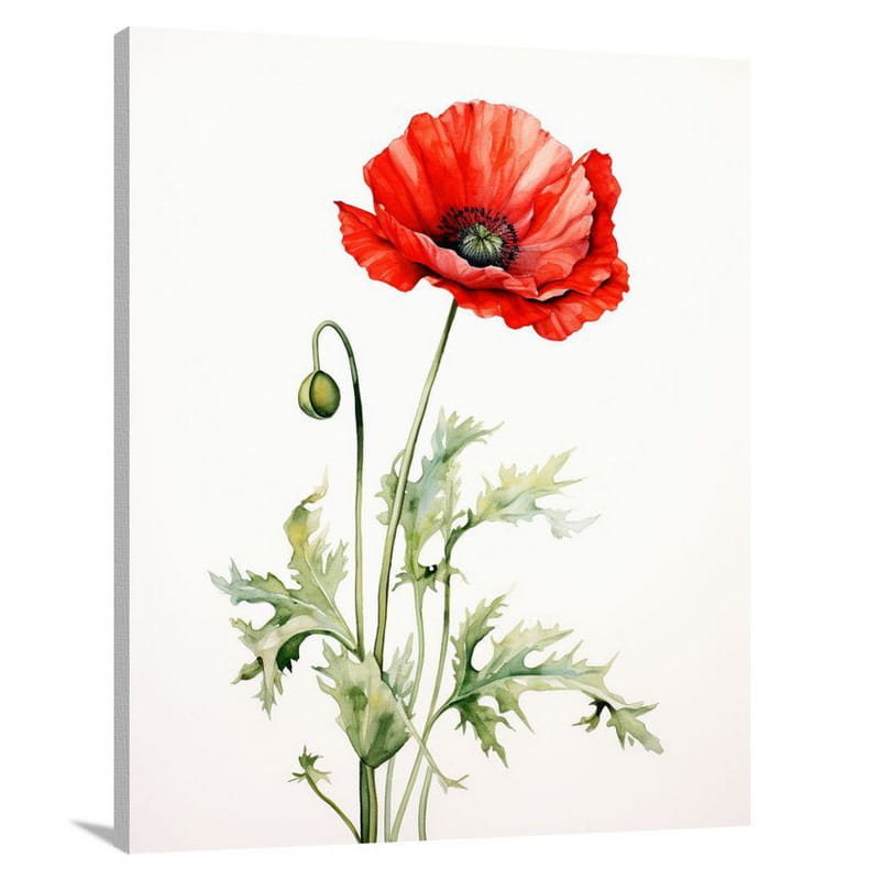 Poppy's Resilience - Watercolor - Canvas Print