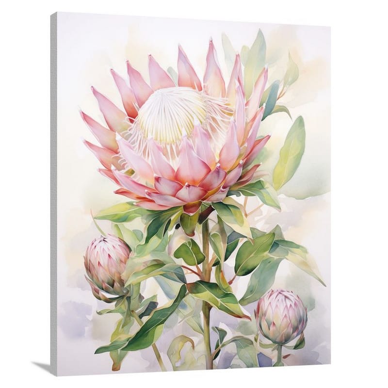 Protea's Enchanting Bloom - Canvas Print