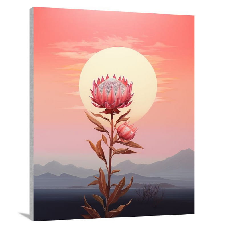 Protea's Sunset Glow - Canvas Print
