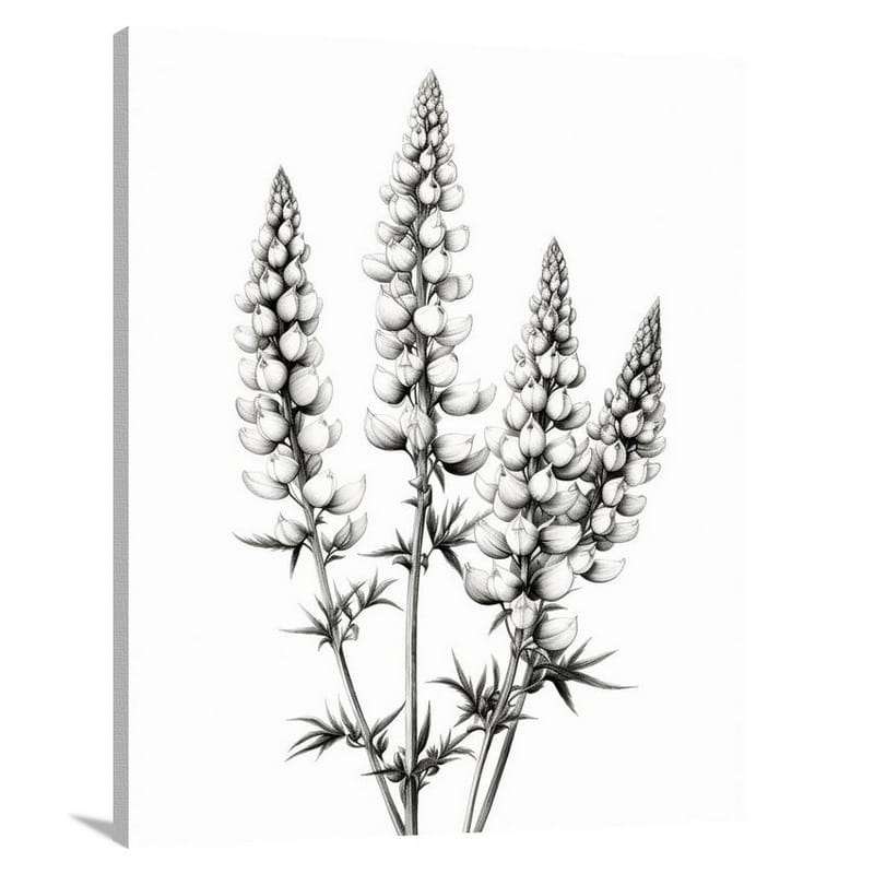Resilient Lupine Blooms - Canvas Print