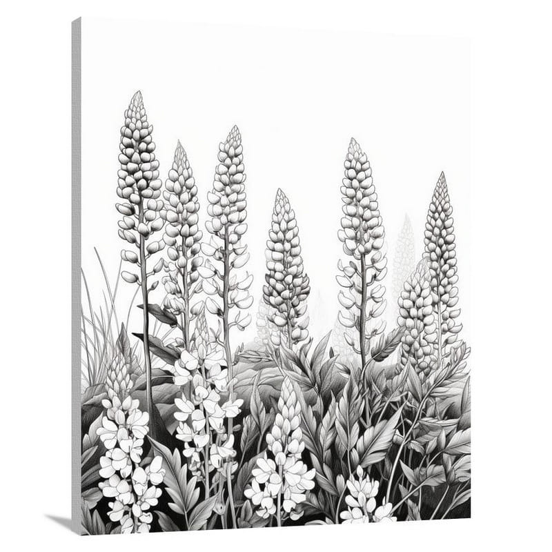Resilient Lupine - Canvas Print